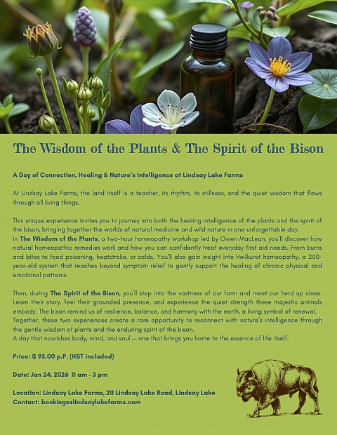 The Wisdom of the Plants & The Spirit of the Bison, January 24, 2026